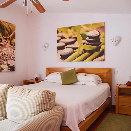 Vila Casa De Amanha 450 Mts To The With Beautiful Garden And Heated Saltwater Pool