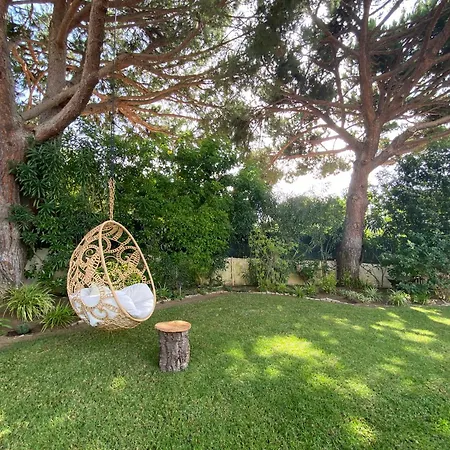 Casa De Amanha 450 Mts To The With Beautiful Garden And Heated Saltwater Pool * Albufeira